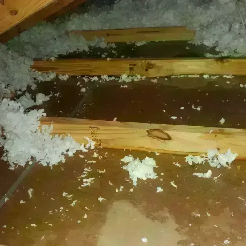 Attic Water Damage in Momence, IL