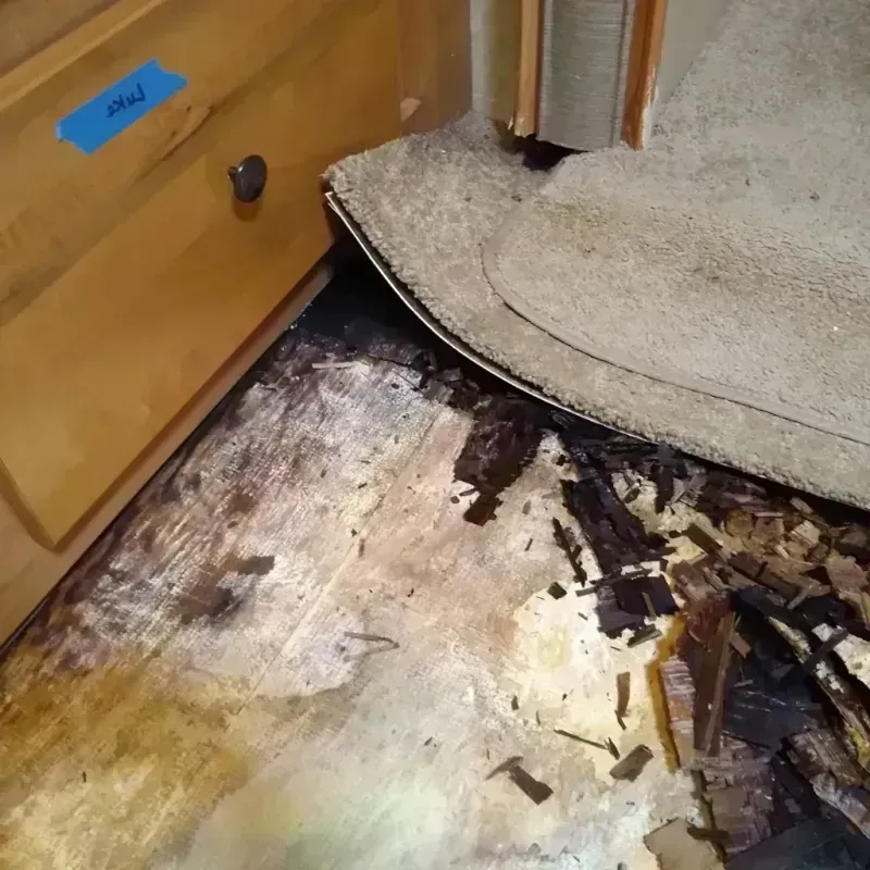 Wood Floor Water Damage in Momence, IL